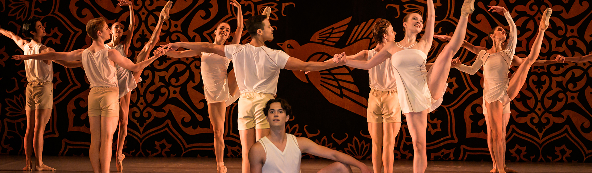 Shades of Dance | צללי מחול