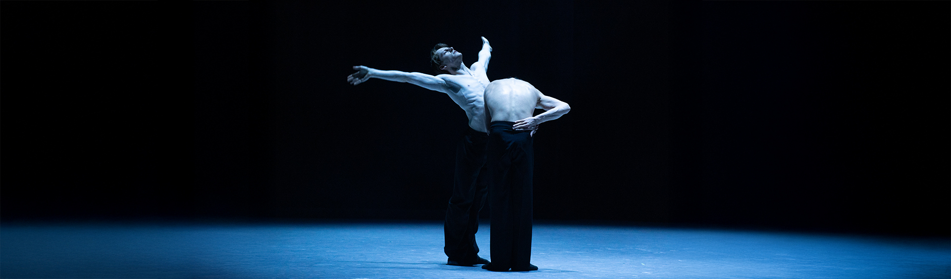 Shades of Dance | צללי מחול